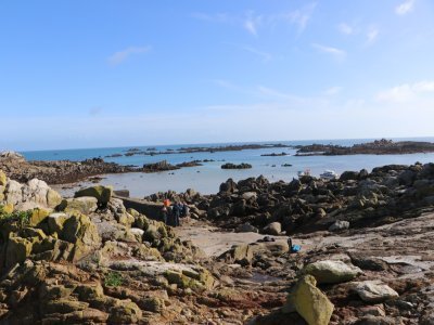 Une partie des pêcheurs ont débarqué sur l'île.