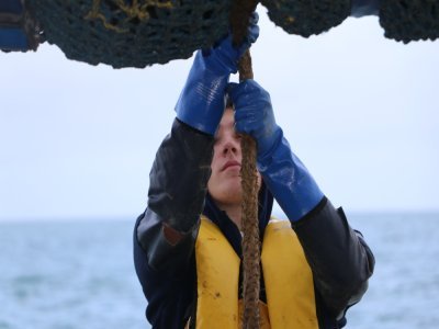 Place ensuite à la pêche à la coquille, où il faut manœuvrer pour plonger les dragues au fond de l'eau.