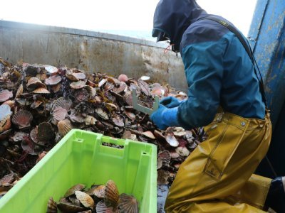 Pour cela, les deux marins pêcheurs sont à genoux sur le pont.