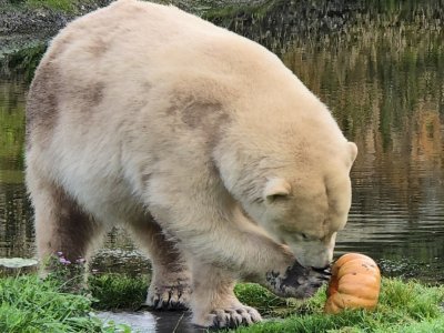 Un repas de choix. - CERZA