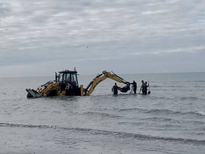 Le mini sous-marin allemand a été extrait de l'eau par les services de la Ville. - Gendarmerie du Calvados