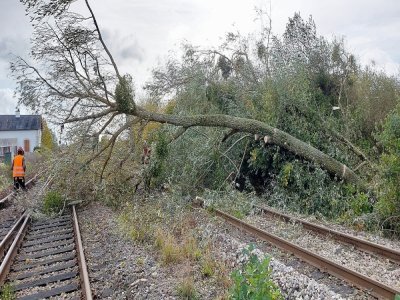 Si les électriciens d'Enedis n'ont pas chômé, les agents de la SNCF non plus, avec de nombreux trains de reconnaissance qui ont circulé. À bord, des bûcherons étaient présents pour dégager les voies. - SNCF