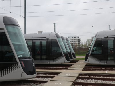 Plusieurs tramways attendent de prendre les rails. Il y en a 36 en tout dans le parc, mais 22 au maximum en service en heure de pointe.