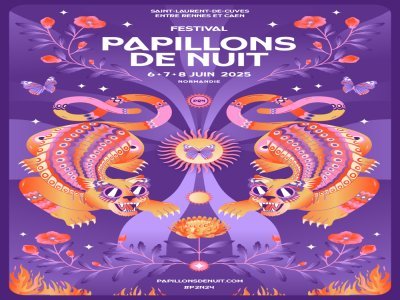 Voici le visuel de l'édition 2025 du festival Papillons de Nuit. - Papillons de Nuit