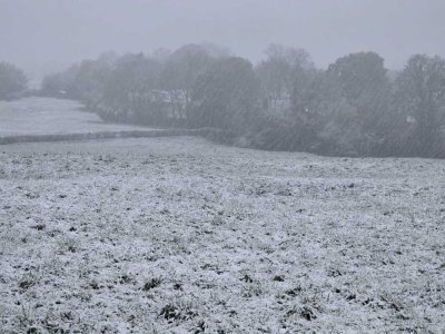 Il neige à Falaise ce jeudi 21 novembre. - Manuel Da Silva