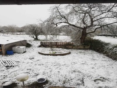 Folligny (Manche) sous la neige. - Nadia Durand