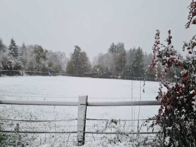 Saint Samson de Bonfossé (Manche) sous la neige.  - Thibault