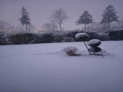 Vassy (Calvados) sous la neige. - Manuela