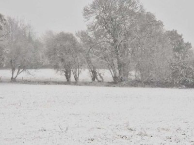 Campagne de Villedieu (Manche) sous la neige. - Adeline