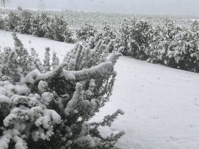 Saint-Wandrille-Rançon sous la neige. - Micka