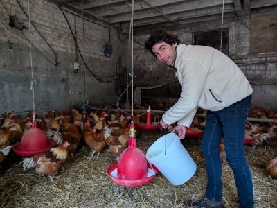 Les chapons sont nourris avec du lait entier, le dernier mois d'élevage.