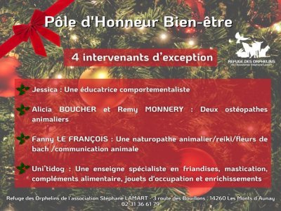 Venez rencontrer les intervenants du Noël des Orphelins ! - Le refuge des orphelins