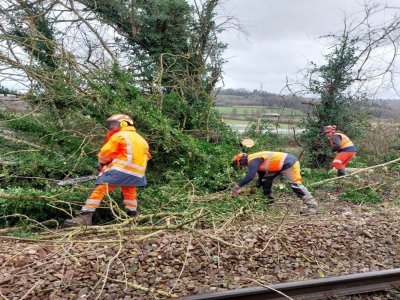 Les bûcherons sont mobilisés pour que les trains circulent dès ce lundi 9 décembre en Normandie. - SNCF Réseau