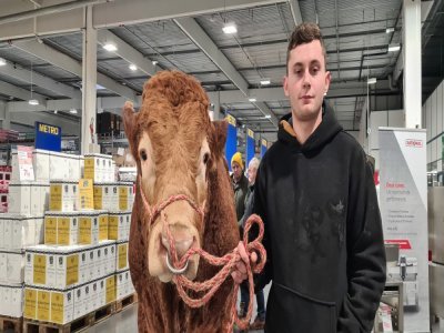 Dorian Havé est producteur de viande Limousine à Sainte-Croix-sur-Buchy près de Rouen. Il dénonce la concurrence déloyale de la viande et en particulier celle du boeuf.