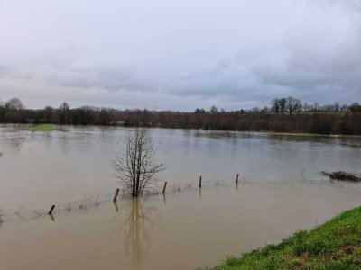 La Vire en crue prend ses aises dans les champs.