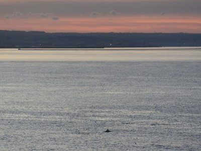 La baie de Cherbourg s'anime sous le coucher de soleil. - Christine Adam