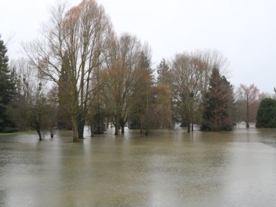 L'arboretum Koutiala était sous l'eau, en face du centre hospitalier d'Alençon.