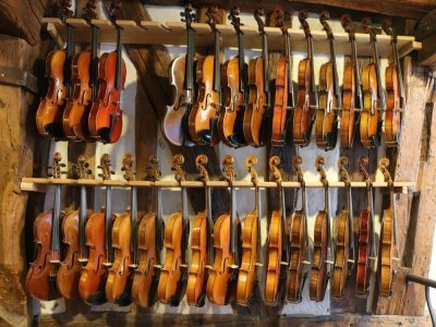 Des violons, violons alto et violoncelles sont proposés à la location au sein des Violons du Robec. Manon Bard, nouvelle gérante de l'établissement, dispose au total de 200 contrats de location. Une bonne option pour les débutants.