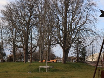 L'enceinte du château est devenue un grand centre paysager. - Tendance Ouest