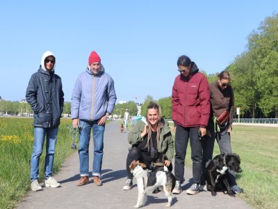 A la Prairie, chiens et maîtres sociabilisent très facilement.