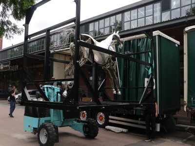 Opération délicate pour sortir l'animal de 340 kilos du camion.  - Tendance Ouest