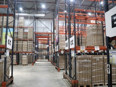Il y a 1 500 places dans la chambre froide. 90% de la production du Molay-Littry est destinée au marché français, et les 10% restants sont exportés en Europe, en Grèce, en Espagne, en Roumanie, en Italie et en Belgique.