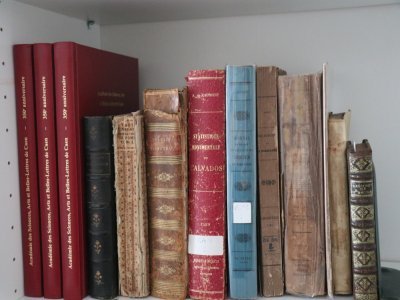 L'Académie manque de place pour stocker tous ses ouvrages. En excluant les revues, elle en compte 2 000 désormais.