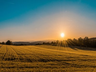 Un été 2025 probablement plus chaud que la normale en Normandie. - Unsplash