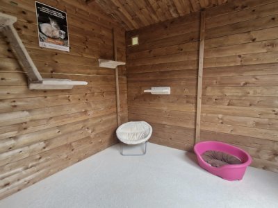 Grâce au chalet Chatipi, les chats errants des Hauts-de-Rouen vont pouvoir avoir un toit ou dormir au chaud. - Tendance Ouest