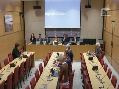Le "remplissage" de la salle lors de l'audition d'Hugo Décrypte, quelques jours plus tôt. - Capture d'écran