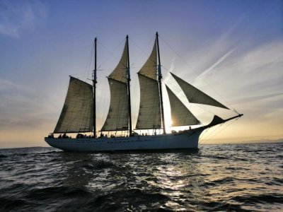 Le "pailebote" Pascal Flores est un ancien bateau-pilote espagnol du début du XXe siècle. Restauré grâce à la Fondation Nao Victoria, ce voilier est devenu un navire-musée sur la marine espagnole. - ©DR Pascal Flores