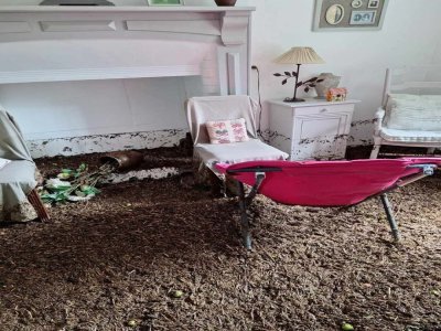 La boue et les déchets végétaux ont dégradé le mobilier qui se trouvait à l'intérieur de l'habitation.