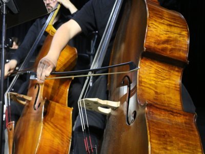 Près de 40 musiciens se sont produits sur scène le jour de la représentation des Secrets de l'orchestre au Zénith de Rouen. Ils ont accompagné, en musique, les enfants qui avaient appris deux chansons pour le jour J.