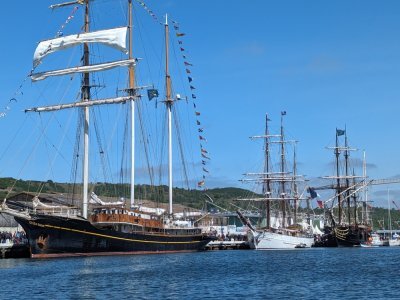 Gulden Leeuw, trois-mâts goélette à hunier, est l'un des plus grands navires de la fête avec ses 70m de long. - Célia Caradec