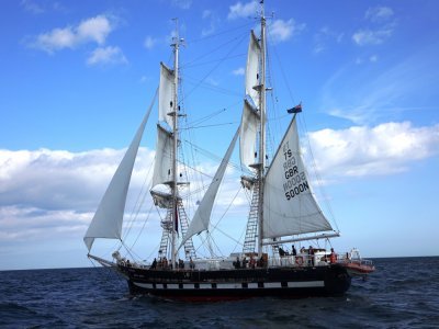 Le Royalist, brick construit en 2014, est la réplique d'un voilier plus ancien du même nom. - Sail Training International