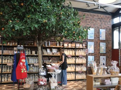 Le musée vous fait découvrir les secrets de fabrication des Caramels d'Isigny, à travers une galerie vitrée et des visuels sur la production. - Lise Crocquevieille