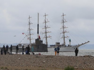 La sortie du Dar Mlodziezy, le plus long navire des Grandes Voiles. - Célia Caradec