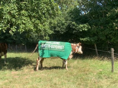 A Sainte-Honorine-la-Chardonne, même les vaches étaient derrière Guillaume Martin ! - Martin Patry