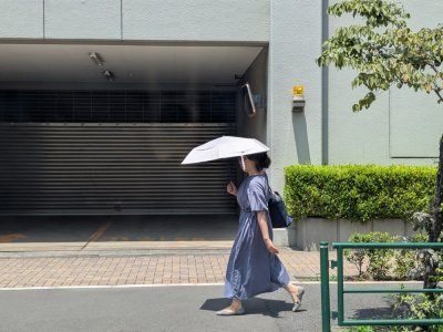 L'ombrelle est très utilisée au Japon. Le Parapluie de Cherbourg vient de lancer sa propre version et espère réussir à investir le marché nippon. - Célia Caradec