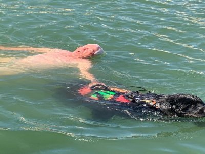 L'homme en slip du port de Dives-sur-Mer retrouvé, il dévoile des photos inédites - Aquadog Normandie