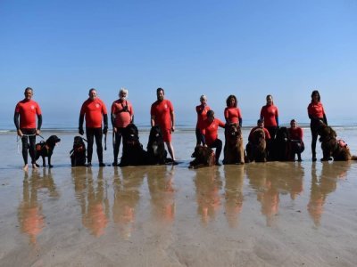 25 ans de passion, de sauvetages et d'exploits. - Aquadog Normandie