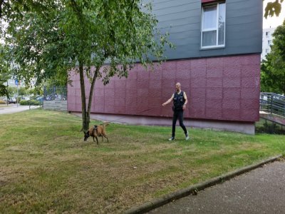 Les policiers de la BAC ont d'abord renforcé la brigade canine pour l'inspection d'un hall d'immeuble. - Soline Grellier