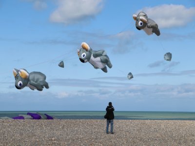 Des cerfs-volants en forme de panda sont visibles sur le front de mer au Festival international de cerfs-volants à Dieppe.