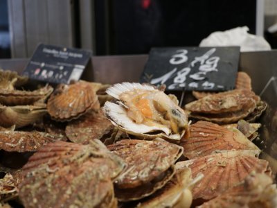 Spécialité avant tout normande, elle fait partie des classiques de la restauration à Rouen. Elle est notamment pêchée en Baie de Seine à quelques kilomètres de là, dans l'un des plus grands gisements d'Europe pour la coquille.