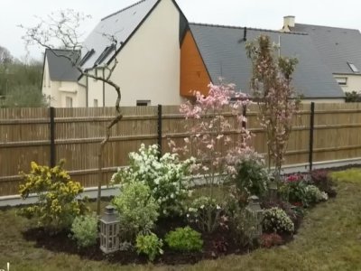 Le résultat final, qui devrait prendre en hauteur et en masse, et qui redonne vie et couleurs au jardin : sans haie ! - France 5