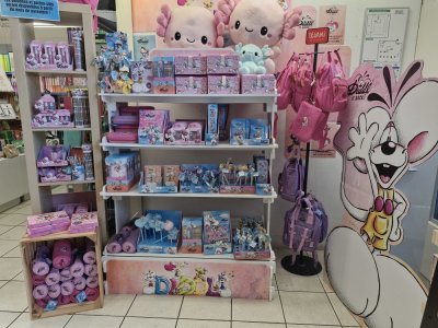 La librairie Colbert de Mont-Saint-Aignan dispose d'un nouveau stand dédié à la marque Diddl dans son rayon papeterie. - Justine Carrère