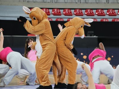 Kangourou, tortue ou encore renard étaient présents. Les mascottes représentent l'emblème de l'école et sont essentiellement des animaux. Leur tête est lourde et des mouvements simples deviennent compliqués.