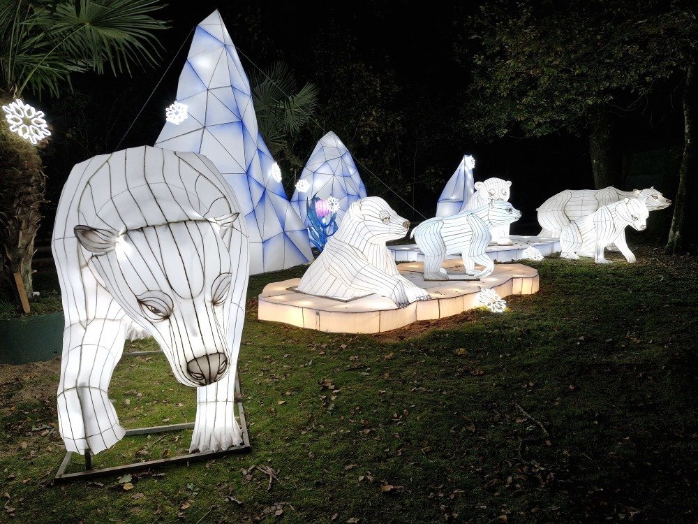 Le climat ne leur est pas favorable, pourtant le zoo de Jurques accueille bien des ours polaires cet hiver !
