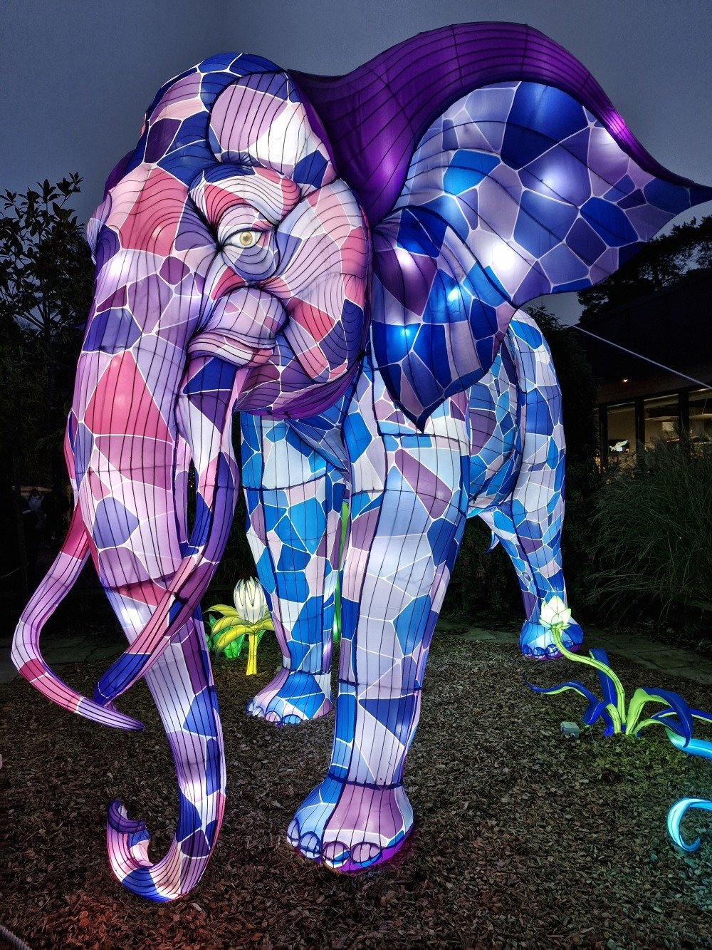 Impossible de le rater, c'est l'une des stars de Jungle de lumières. Ce magnifique éléphant accueille tous les visiteurs à l'entrée du parc.