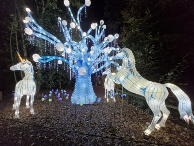 L'imaginaire aussi a sa place à Jungle de lumières avec ces deux magnifiques licornes. L'imaginaire aussi a sa place à Jungle de lumières avec ces deux magnifiques licornes.
